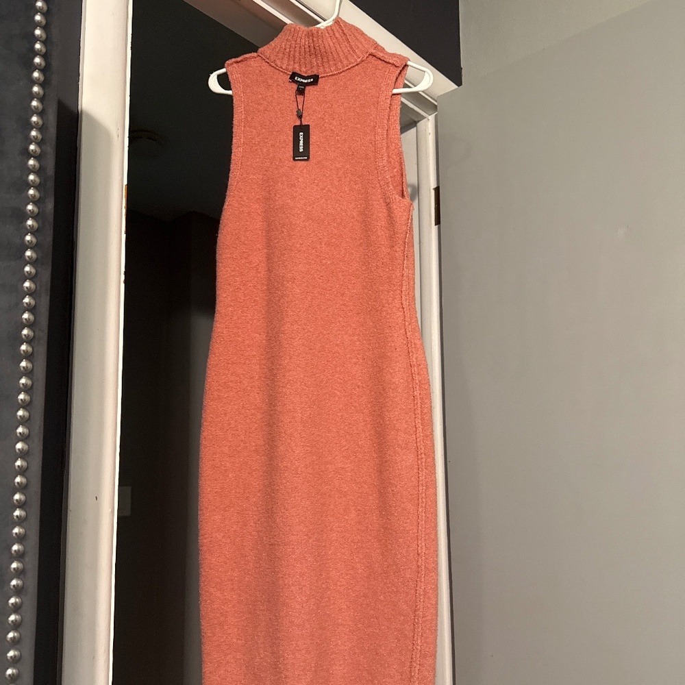 Size Large express dress
